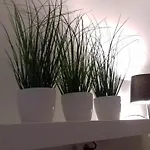 Molo Wellness Garden Siófok