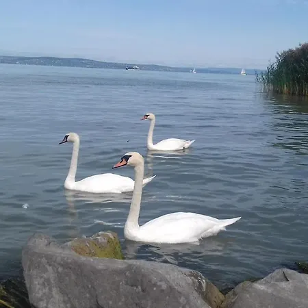 Molo Wellness Garden