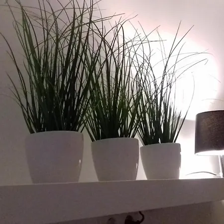Molo Wellness Garden Siófok