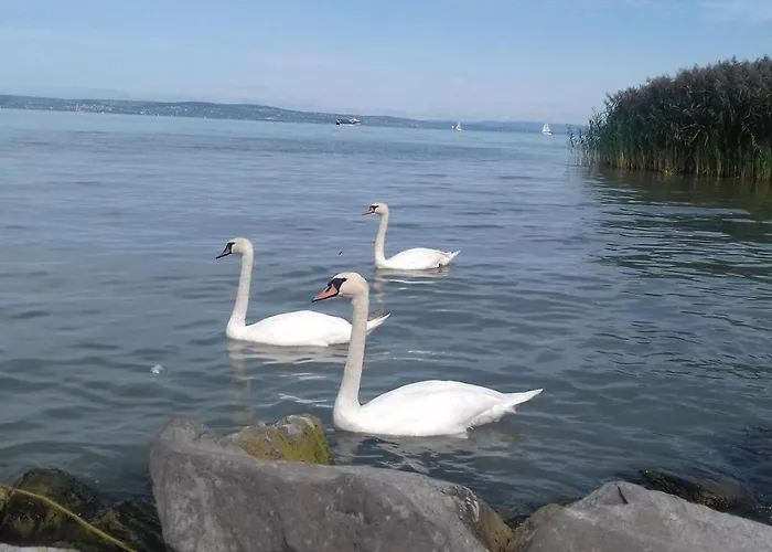 Molo Wellness Garden