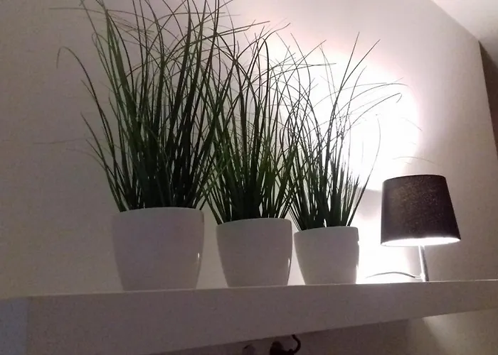 Molo Wellness Garden שיופוק